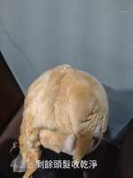 https://images.plurk.com/5psPpi57lENP6yK8kVnFyJ.jpg