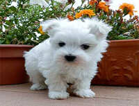 https://images.plurk.com/5puPvvGVtEk2Iozk83Ei7g.jpg