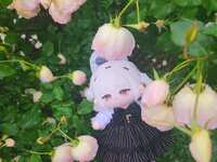 https://images.plurk.com/5q2nCu3SdXgXCll06sHTuZ.jpg