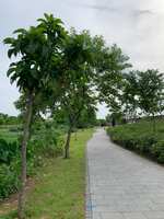 https://images.plurk.com/5q4YGRNegFBJpLqk0VwovM.jpg