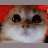 https://images.plurk.com/5q7dUaVGe63lteOHeomcfc.gif