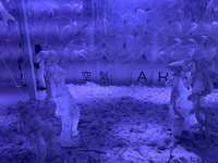 https://images.plurk.com/5qLgtqe2EhIXpx5FZVL7aw.jpg