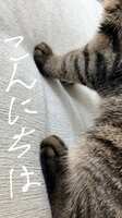 https://images.plurk.com/5qPp8vDFRtbQVRfi7yoreJ.png