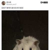 https://images.plurk.com/5qUc6uwrO3D01WGhzlyhkO.jpg