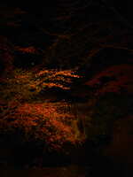 https://images.plurk.com/5qV0WELT1AWWv3ro9KFCgu.jpg