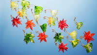 https://images.plurk.com/5qZuJYiJHPylbatFD6Q5pe.jpg