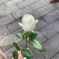 https://images.plurk.com/5qbsVRRDnK5JRKeffQ5qcw.jpg