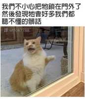 https://images.plurk.com/5qgmYnrp629RfxngCutTu3.jpg