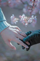 https://images.plurk.com/5qsOe4DYV376DJMBmtVoyx.jpg