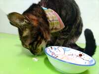https://images.plurk.com/5rHAaT4PkNoCCulWob9NhR.jpg