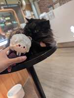 https://images.plurk.com/5rIqYOSnay4JpngOEm5L16.jpg