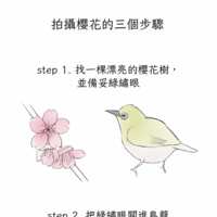 https://images.plurk.com/5rKXEk7WkwgDyzBHPlN2jD.png