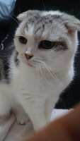 https://images.plurk.com/5rN8l4GMfjOIEnTx1rM6ah.jpg