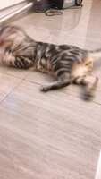 https://images.plurk.com/5rOo5k7u0nVWQDE21fXi7U.jpg