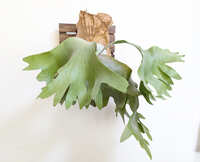 https://images.plurk.com/5rQ9yhjT1bDknORSitJiBn.jpg