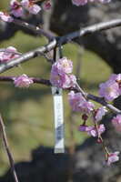 https://images.plurk.com/5rfgY54phAHRFcODTGywPJ.jpg