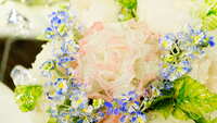 https://images.plurk.com/5rtgkqG6sozqCdQ4fyTl6V.jpg