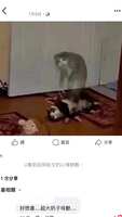 https://images.plurk.com/5ruM5U8TNO86Nwwa4G021Y.jpg
