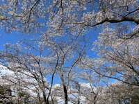 https://images.plurk.com/5rv5LWwqKd5PlrIPe2cVQc.jpg