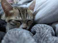 https://images.plurk.com/5s0CtENMvfK80Rpo2slh5r.jpg