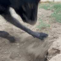 https://images.plurk.com/5sBjjkTWSGbrTphoTM7SDj.gif