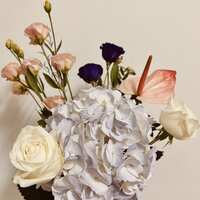 https://images.plurk.com/5sRY8VsMRJBzHQPXR8aH2O.jpg