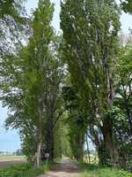 https://images.plurk.com/5sRkSOt2TjsRfDM3ZXXMwO.jpg
