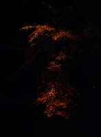 https://images.plurk.com/5sSo5PbV9VTHAVng0xVv0A.jpg