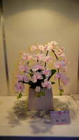 https://images.plurk.com/5sTnFVgV9xAI27JjgwnaDM.jpg