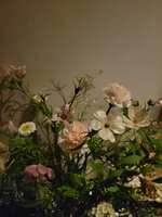 https://images.plurk.com/5sX3B3HeaCwOV5XlnGnsYF.jpg