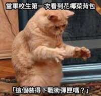 https://images.plurk.com/5sZQ7XhbxKsK9SFqVsQLaV.png