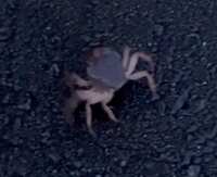 https://images.plurk.com/5sd9T99R5NCQcbs4mD8GUv.png