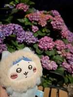 https://images.plurk.com/5smRPvkYJrIWmaUB1NO8qg.jpg