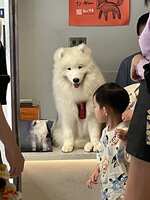 https://images.plurk.com/5so4KZKm9jHWeeQGw4oSLz.jpg