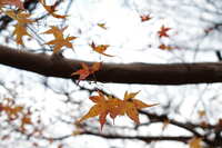 https://images.plurk.com/5spKUXpCYTCNb5GOYF4zat.jpg