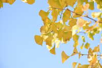 https://images.plurk.com/5sul2izFyNcv0DvKA7vf6h.jpg