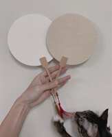 https://images.plurk.com/5svWiGcdb1gf7thQB4jooR.jpg