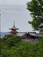 https://images.plurk.com/5t2tnWY759nJHaGs2oVVtO.jpg