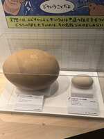 https://images.plurk.com/5t3qaIl8iRKiha0H0MsaiF.jpg