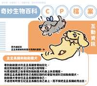 https://images.plurk.com/5t8A3hDbpmZQVPpHWnllpE.png