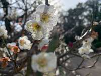 https://images.plurk.com/5tAQFXwlfDrZ5nwsPgM3AI.jpg