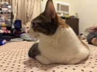https://images.plurk.com/5tCcPDDvE1TNvTuzLU7yfC.jpg
