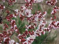 https://images.plurk.com/5tGcdpc5p12d41aUOcSq5Q.jpg