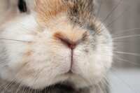 https://images.plurk.com/5tSj9xgCjNxR2UFpVmHbqB.png