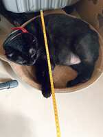 https://images.plurk.com/5tV5cSg5RHgkZMqXPWWYZg.jpg