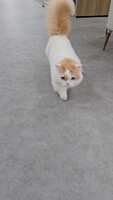 https://images.plurk.com/5taFeNW5pJcbPA197mQZZM.jpg