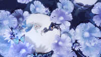 https://images.plurk.com/5tcfIFj2wzCMw3T9H1Bg3U.jpg