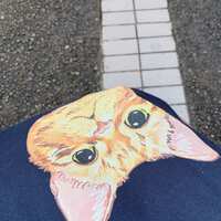 https://images.plurk.com/5tfW6F1NJgjh2ruopPxxef.jpg