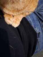 https://images.plurk.com/5tkAeQzPLGP2hJOwZZV9Ou.jpg