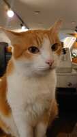 https://images.plurk.com/5tqKguKdZbbLs9fi5UQYJ4.jpg